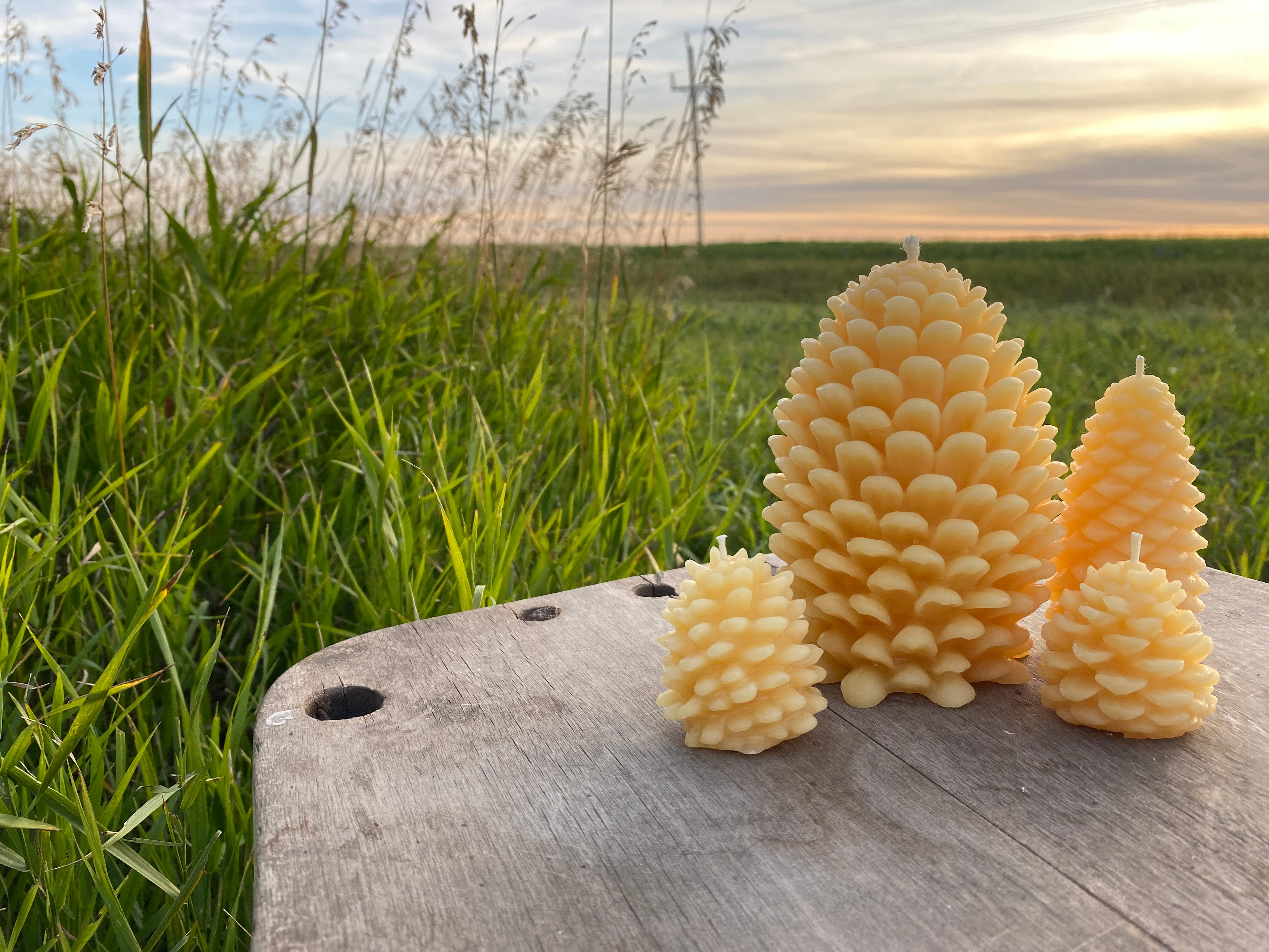 Pinecone Candles – Prairie Sun Beeswax